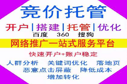 竞价推广公司案例揭秘：如何利用数据分析提升广告效果